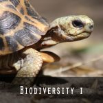 Biodiversity l