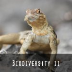 Biodiversity ll