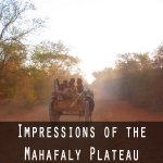 Impressions of the Mahafaly Plateau